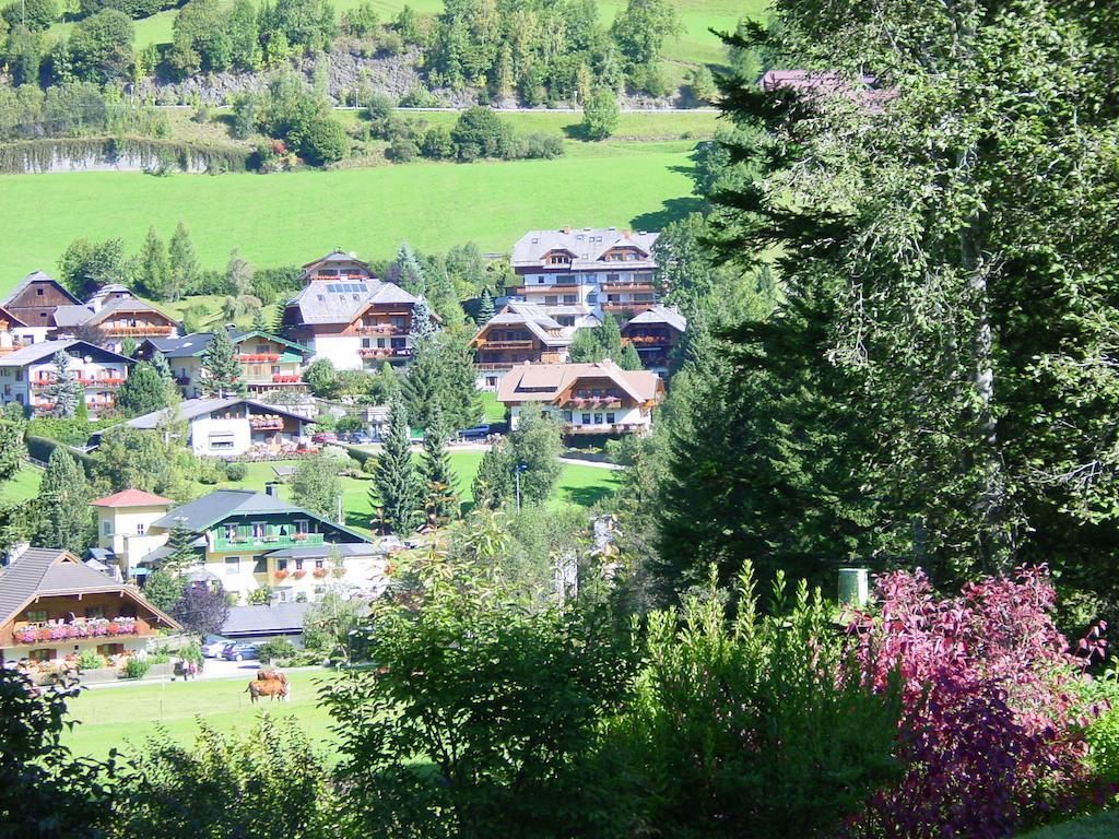 Haralds Ferienwohnungen Bad Kleinkirchheim Ruang foto